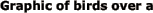 Graphic of birds over a